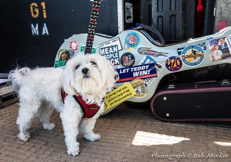 Moonalice-Pacific Grove 4-12-15_<br/>Photo by: Bob Minkin